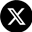 x icon